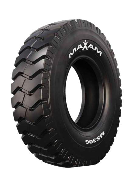 Maxam MS306
